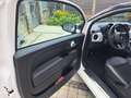 Fiat 500 500 FireFly Hybrid 70 Google Google Weiß - thumbnail 7