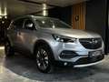 Opel Grandland X 1.2 Start/Stop | Cam. | Distriebutieriem Vervangen Grijs - thumbnail 5
