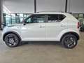 Suzuki Ignis IGNIS COMFORT AUTOMATIK NAVI SITZHZ CAMERA ALU Blanco - thumbnail 8