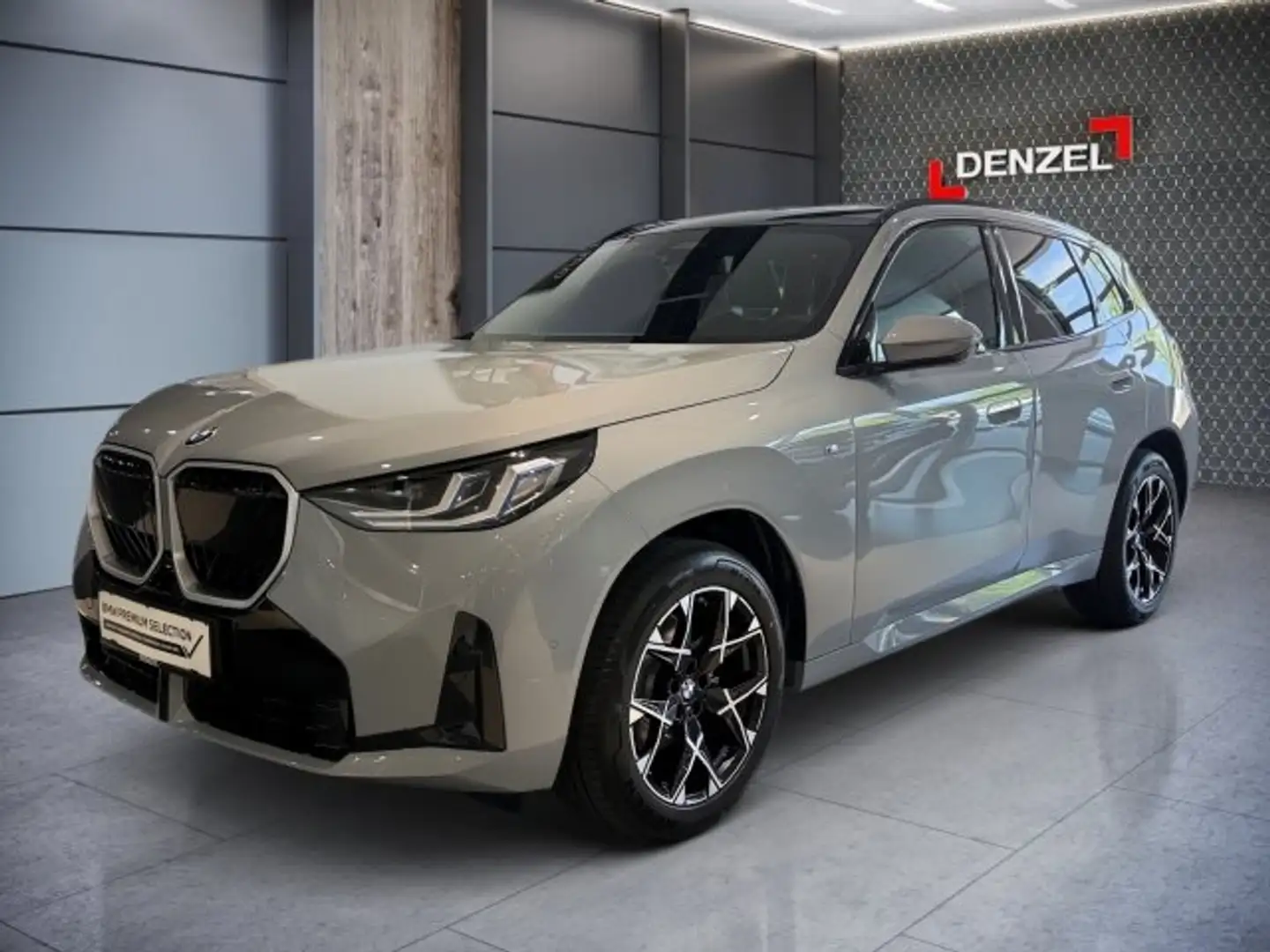 BMW X3 xDrive20d G45 B47 Grau - 1