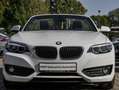 BMW 218 i Cabrio Advantage Navi DAB RFK Klimaaut. Wit - thumbnail 15
