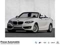 BMW 218 i Cabrio Advantage Navi DAB RFK Klimaaut. Wit - thumbnail 1