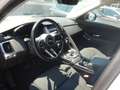 Jaguar E-Pace 2.0d i4 mhev awd 163cv auto AUTOCARRO N1-GF642RL Bianco - thumbnail 5