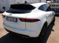 Jaguar E-Pace 2.0d i4 mhev awd 163cv auto AUTOCARRO N1-GF642RL Bianco - thumbnail 15