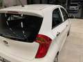 Kia Picanto FIFA World Cup Edition Klima Sitzh. Weiß - thumbnail 41