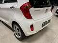 Kia Picanto FIFA World Cup Edition Klima Sitzh. Weiß - thumbnail 24