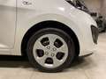 Kia Picanto FIFA World Cup Edition Klima Sitzh. Weiß - thumbnail 48