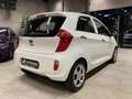 Kia Picanto FIFA World Cup Edition Klima Sitzh. Weiß - thumbnail 19