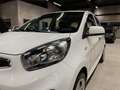 Kia Picanto FIFA World Cup Edition Klima Sitzh. Weiß - thumbnail 39