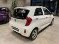 Kia Picanto FIFA World Cup Edition Klima Sitzh. Weiß - thumbnail 4