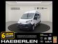 Opel Movano Cargo 2.2 140 L2H2 &#128293;-46% *Auf Lager*AHK* Blanc - thumbnail 1