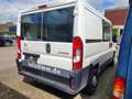 Citroen Jumper Nicht fahrbereit L1 Blanco - thumbnail 3