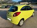 Ford Ka/Ka+ 1.2 benzina/GPL 69cv NEOPATENTATI Groen - thumbnail 6