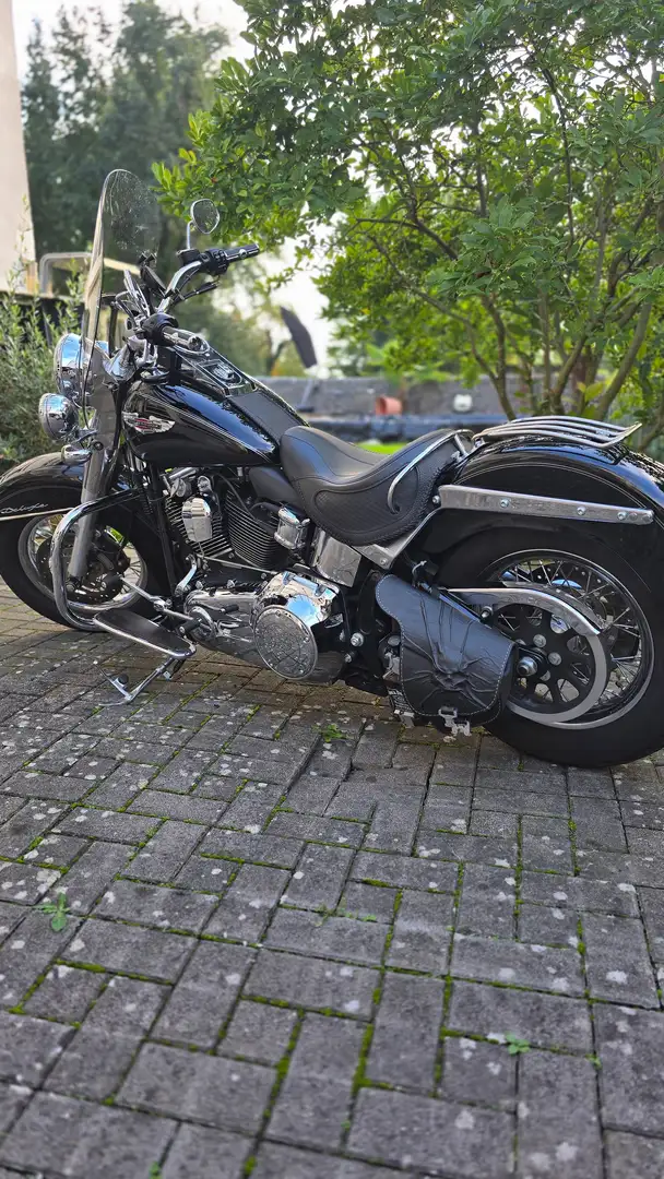 Harley-Davidson Deluxe FLSTN WINTERANGEBOT Noir - 2