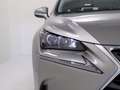 Lexus NX 300h - NX 300h 2.5 Icon 4wd cvt Argento - thumbnail 5