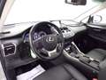 Lexus NX 300h - NX 300h 2.5 Icon 4wd cvt Argento - thumbnail 11