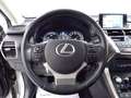 Lexus NX 300h - NX 300h 2.5 Icon 4wd cvt Argento - thumbnail 16