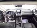 Lexus NX 300h - NX 300h 2.5 Icon 4wd cvt Argento - thumbnail 15