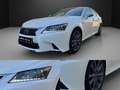 Lexus GS 450h F Sport Blanco - thumbnail 19