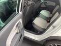 Volkswagen Polo CrossPolo Urban White Weiß - thumbnail 9