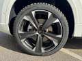 CUPRA Ateca 2.0 TSI DSG 4Drive 190 Weiß - thumbnail 28
