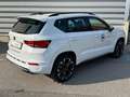 CUPRA Ateca 2.0 TSI DSG 4Drive 190 Weiß - thumbnail 5