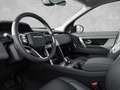 Land Rover Discovery Sport D165 AWD S PANO W-PAKET Grau - thumbnail 6