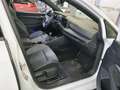 Volkswagen Golf 8 VIII 1.5 TSI R-Line Einparkhi/Multilenk/S Weiß - thumbnail 3