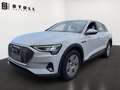 Audi e-tron 50 quattro Pano+B&O+DAB+Standklima++ Weiß - thumbnail 1