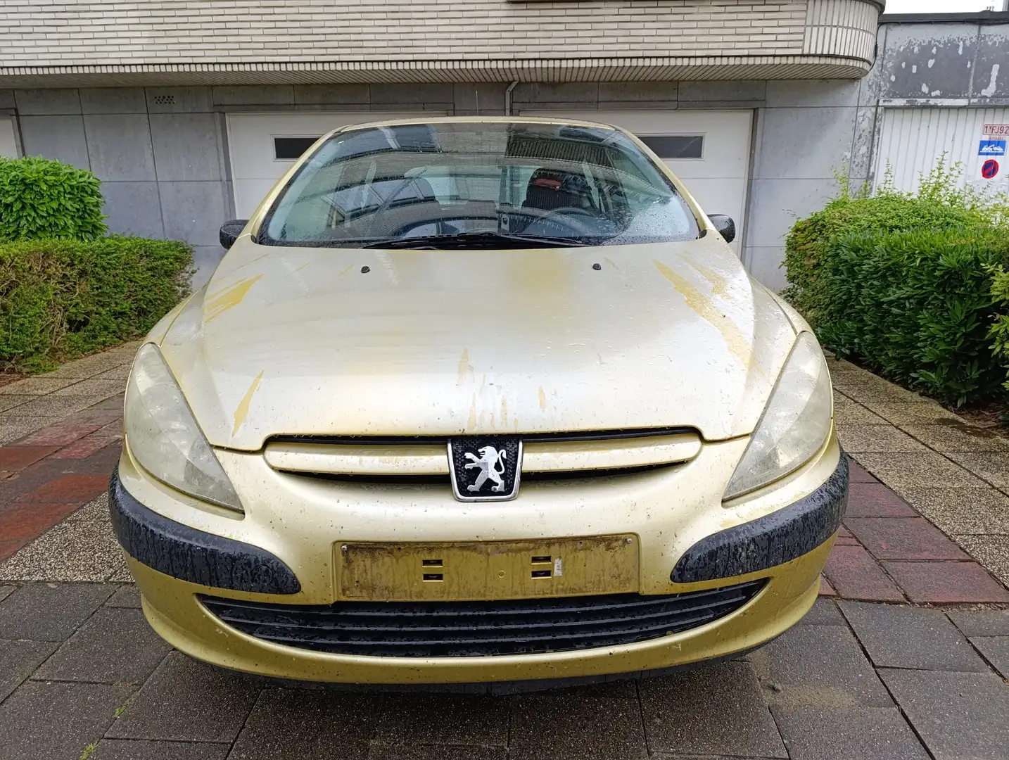 Peugeot 307 1.4i XR Oro - 1