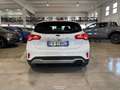Ford Focus 1.0 EcoBoost 125 CV 5p. Active Bianco - thumbnail 6