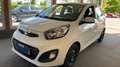Kia Picanto Picanto 1.0 Glam 69cv 5p Bianco - thumbnail 1
