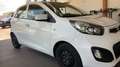 Kia Picanto Picanto 1.0 Glam 69cv 5p Bianco - thumbnail 6