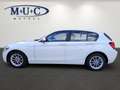 BMW 116 BMW 116i~2te Hand~Xen~8Fach~Scheckheftgepfl Білий - thumbnail 7