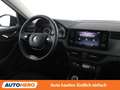 Skoda Kamiq 1.0 TSI Ambition Grau - thumbnail 13