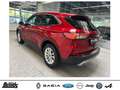 Ford Kuga 1.5 EcoBlue Automatik TITANIUM ACC LED NAVI KAMERA Rouge - thumbnail 4