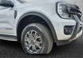 Ford Ranger 2.0 EcoBlue aut. 205 CV DC Wildtrak 5 posti Argent - thumbnail 16