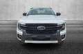 Ford Ranger 2.0 EcoBlue aut. 205 CV DC Wildtrak 5 posti Argent - thumbnail 7