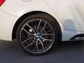 BMW 120 120d Sport Sport Blanco - thumbnail 8