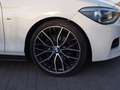 BMW 120 120d Sport Sport Blanco - thumbnail 7