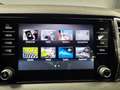 Skoda Karoq Karoq 2.0 tdi evo Executive 4x4 150cv dsg Blauw - thumbnail 37
