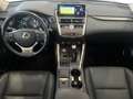 Lexus NX 300h NX 300h 2.5 Sport cvt Grigio - thumbnail 16