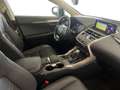 Lexus NX 300h NX 300h 2.5 Sport cvt Grigio - thumbnail 15