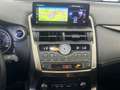 Lexus NX 300h NX 300h 2.5 Sport cvt Grigio - thumbnail 10