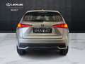 Lexus NX 300h NX 300h 2.5 Sport cvt Grigio - thumbnail 12