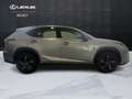 Lexus NX 300h NX 300h 2.5 Sport cvt Grigio - thumbnail 4