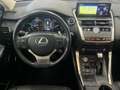 Lexus NX 300h NX 300h 2.5 Sport cvt Grigio - thumbnail 8