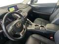Lexus NX 300h NX 300h 2.5 Sport cvt Grigio - thumbnail 7