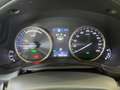 Lexus NX 300h NX 300h 2.5 Sport cvt Grigio - thumbnail 9