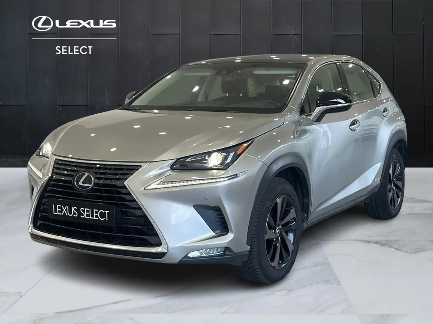 Lexus NX 300h NX 300h 2.5 Sport cvt Grigio - 1